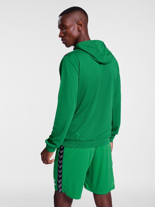 hmlAUTHENTIC PL HOODIE, JELLY BEAN, model