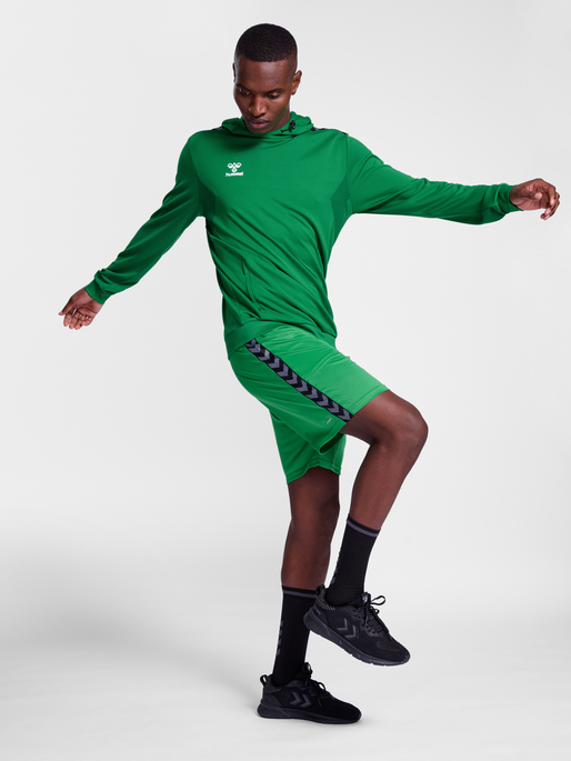 hmlAUTHENTIC PL HOODIE, JELLY BEAN, model