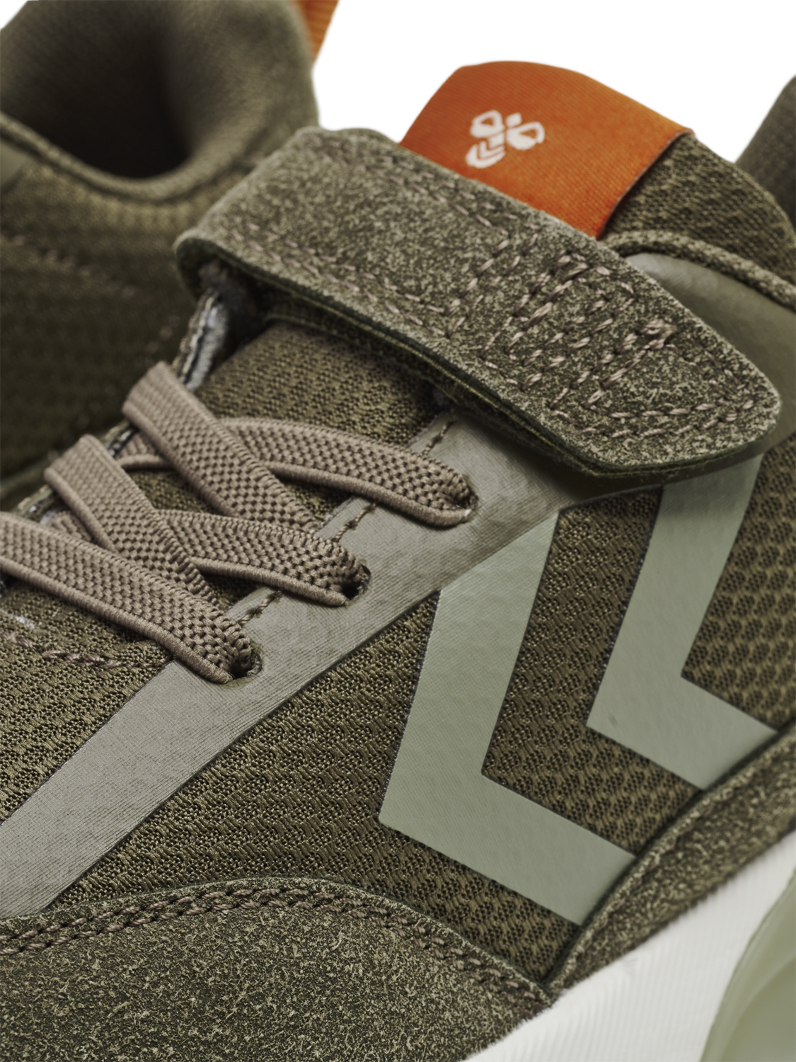 DAYLIGHT JR, BEECH, packshot