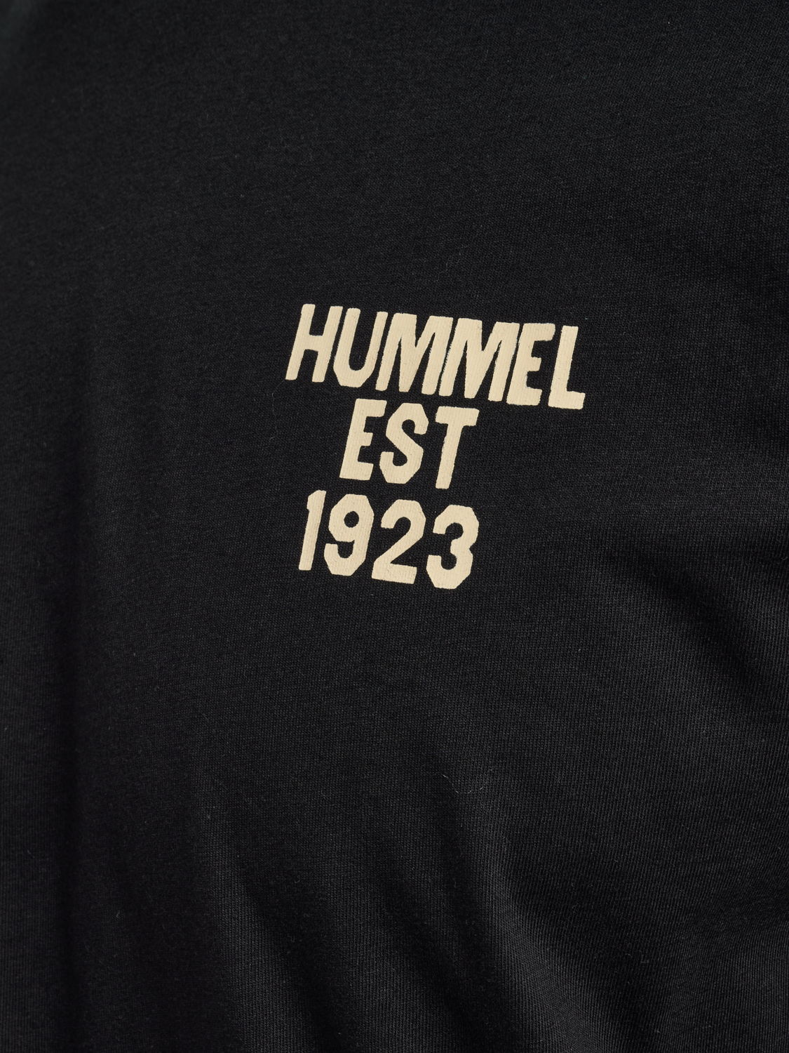 hmlREGULAR GRAPHIC TEE S/S, BLACK/BLUE, packshot