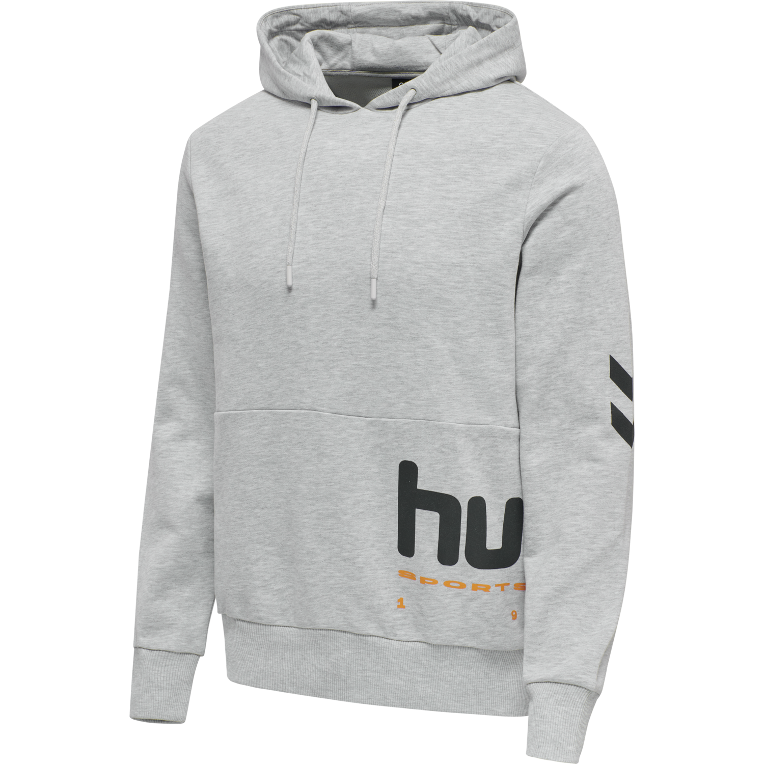 hmlLGC MANFRED HOODIE, 2010, packshot