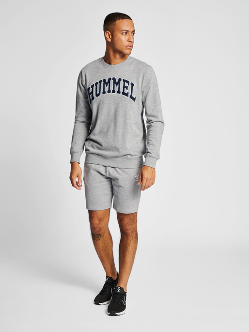 hmlIC BILL SWEATSHIRT, 2006, model