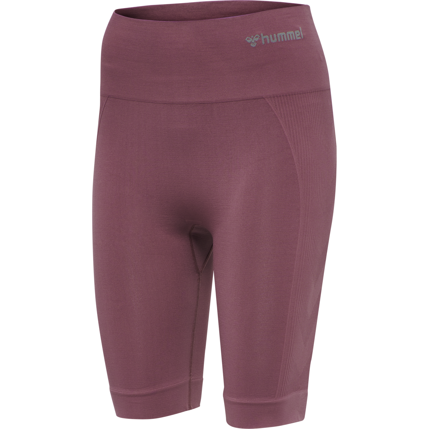 hmlTIF SEAMLESS CYLING SHORTS, NOCTURNE, packshot